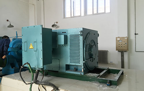宋洛乡某水电站工程主水泵使用我公司高压电机